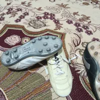 کفش چمن|کیف، کفش، کمربند|تربت جام, پاسداران|دیوار