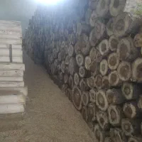 پرس کار ماهر|استخدام صنعتی، فنی، مهندسی|اهر, |دیوار