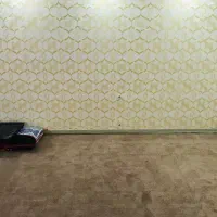 فروش یک سری پالاز موکت به قیمت مناسب|موکت|سنندج, |دیوار