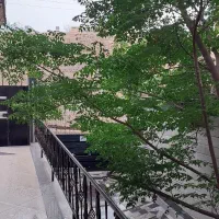 اپارتمان-80-متری-دروازه-دولت