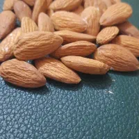 فروش عمده ی مغزیجات