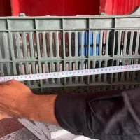 فروش سبد میوه در حد نو|فروشگاه و مغازه|بم, |دیوار