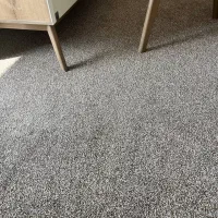 موکت پالاز|موکت|دوگنبدان, |دیوار