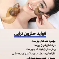 حلزون آچاتینا|خزنده|کرج, اصفهانی‌ها|دیوار