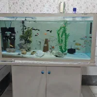 آکواریوم کامل