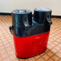 فلاکس دوقلو
