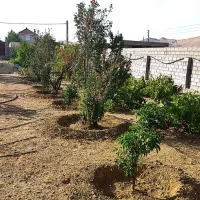 باغ-شهری-مجموعه-زمزم-تربر-جعفری