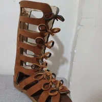کفش مجلسی
