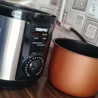 زود پز برقی جیپاس