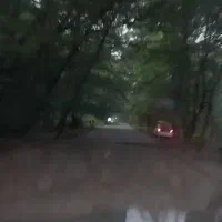 جذب نیروی مجرب آقا فعال|استخدام اداری و مدیریت|رامسر, |دیوار