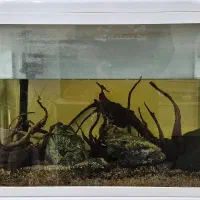 فرو آکواریوم با تمام لوازم و وسایل