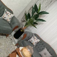 درختچه برگ انجیری|گل مصنوعی|کرج, گوهردشت|دیوار