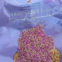 گندم مادری بوجارشده وسم زده پایا
