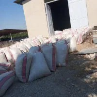 کاه،گندم،درجه یک و تمیز به شرط (شهر کازرون )