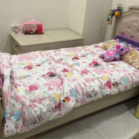 تخت خواب کودک و نوجوان|تخت و صندلی بچه|کرج, کوی امامیه|دیوار