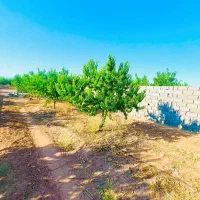 زمین600متری-آب-شرب-برق-گاز-شاهنامه80-گوارشک