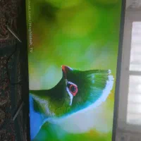 ال ای دی۴۹ فورکی پنل سامسونگ وال جی۴۶ اصل کره