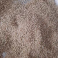 برنج چمپا کیلو ۲۶۰