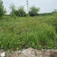 زمین با سند تک برگ واقع در شهرک احمد خمینی|فروش زمین و ملک کلنگی|رشت, شهرک احمد خمینی|دیوار