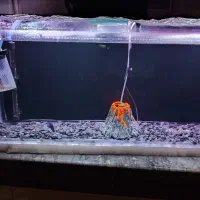 فروش اکواریوم و یا معاوضه