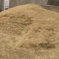 فروش کاه لوبیا