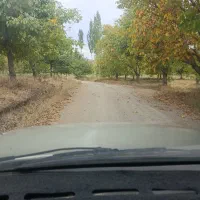 خونه لاله‌زار