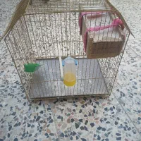 قفس پرنده