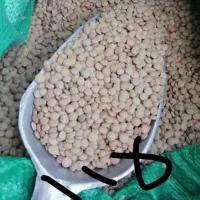 حبوبات لوبیا چیتی عدس ونخود برنج چای باقیمت مناسب|خوردنی و آشامیدنی|اهواز, نادری|دیوار