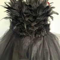 لباس مجلسی مشکی خاص با پر و تور مدل لاکچری|لباس|تهران, امامت|دیوار