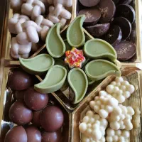 استخدام مدیر فروش و تعدادی فروشنده