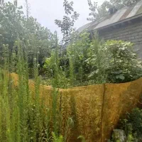 فروش فوری ویلا با زمین 180 متر شهر رودبنه|فروش زمین و ملک کلنگی|رودبنه, |دیوار