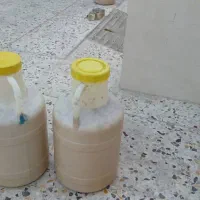 فروش عسل کنار|خوردنی و آشامیدنی|لیکک, |دیوار