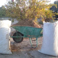 کود گوسفند تهراندشت