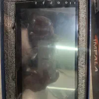 مانیتور اندروید نو