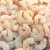 فروش عمده میگو پاک شده و میگو سوخاری