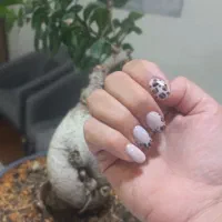 مدل جهت کاشت