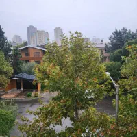 نیازمند همخونه