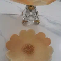 میوه خوری و ظرف رزینی به هر مدلی دوست دارید