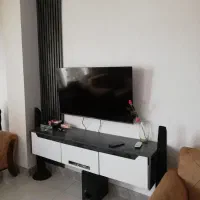 باند ال جی