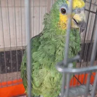 سلام و عرض ادب