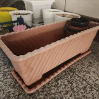 گلدانهای سفالی و پلاستیکی|گل و گیاه طبیعی|کرج, کوی مهر|دیوار