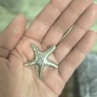 دکمه ستاره دریایی