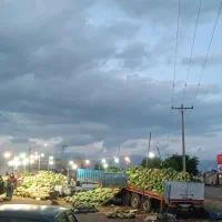 میوه فروشی.حقوق20ملیون نگهبان و فروشنده|استخدام بازاریابی و فروش|نیشابور, مدرس|دیوار