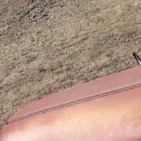 ماشین کلاسیک شورولت|خودرو کلاسیک|تهران, کوی فراز|دیوار