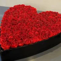 باکس روبانی