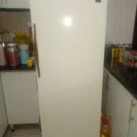 یخچال گاز وموتور فابریک