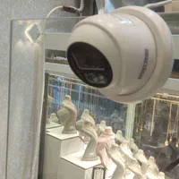 برقکار کل تهران.شهرری.دوربین.دزدگیر.لاین نوری|خدمات پیشه و مهارت|ری, دیلمان|دیوار