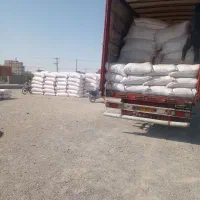 کاه نرم و سفید کردستان|لوازم جانبی حیوانات|زابل, |دیوار