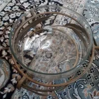 ظروف پذیرایی