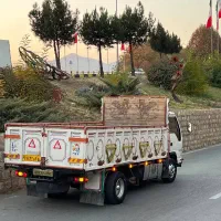 ایسوزو مدل ۸۶